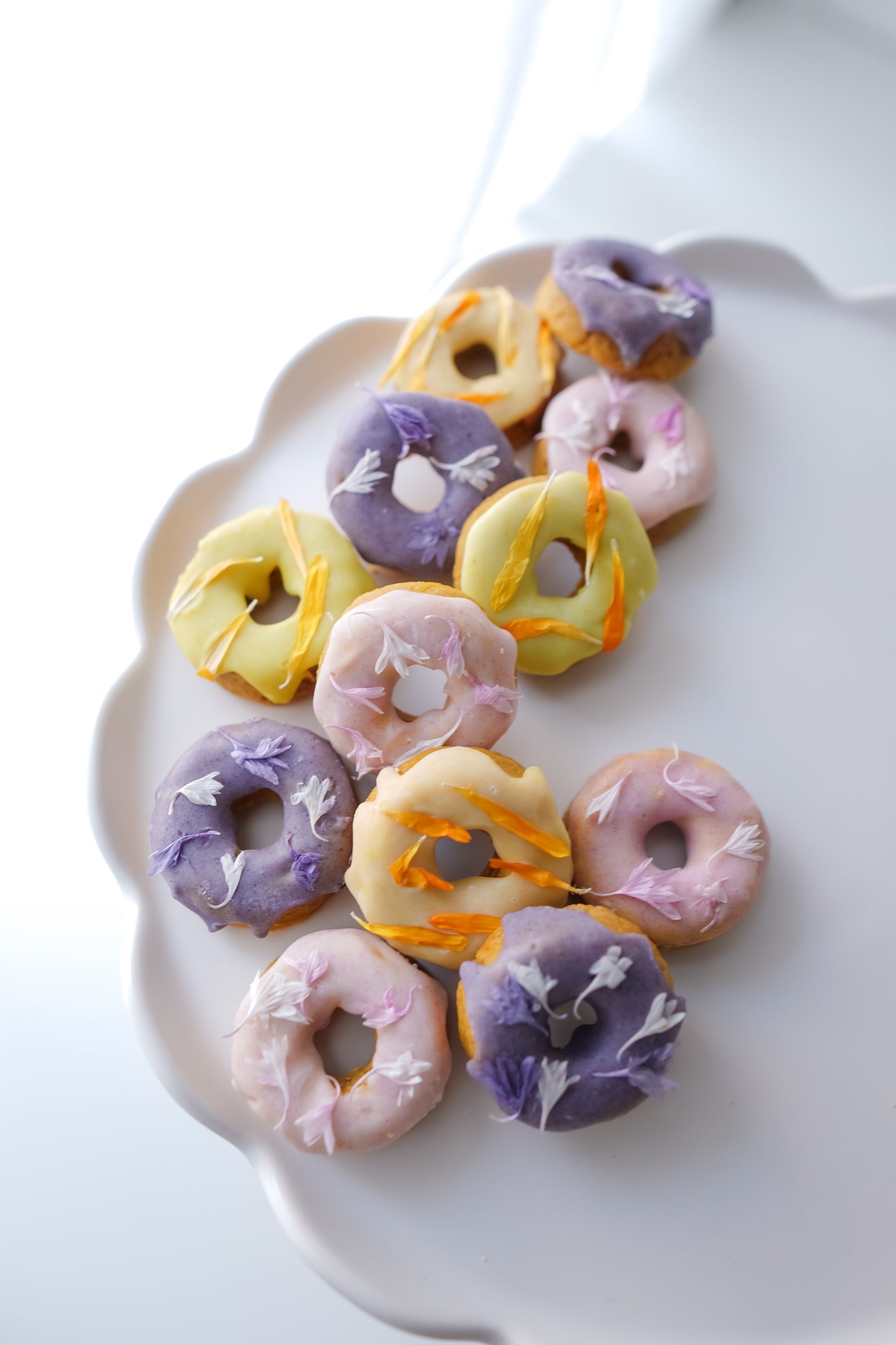 Doggo Donuts