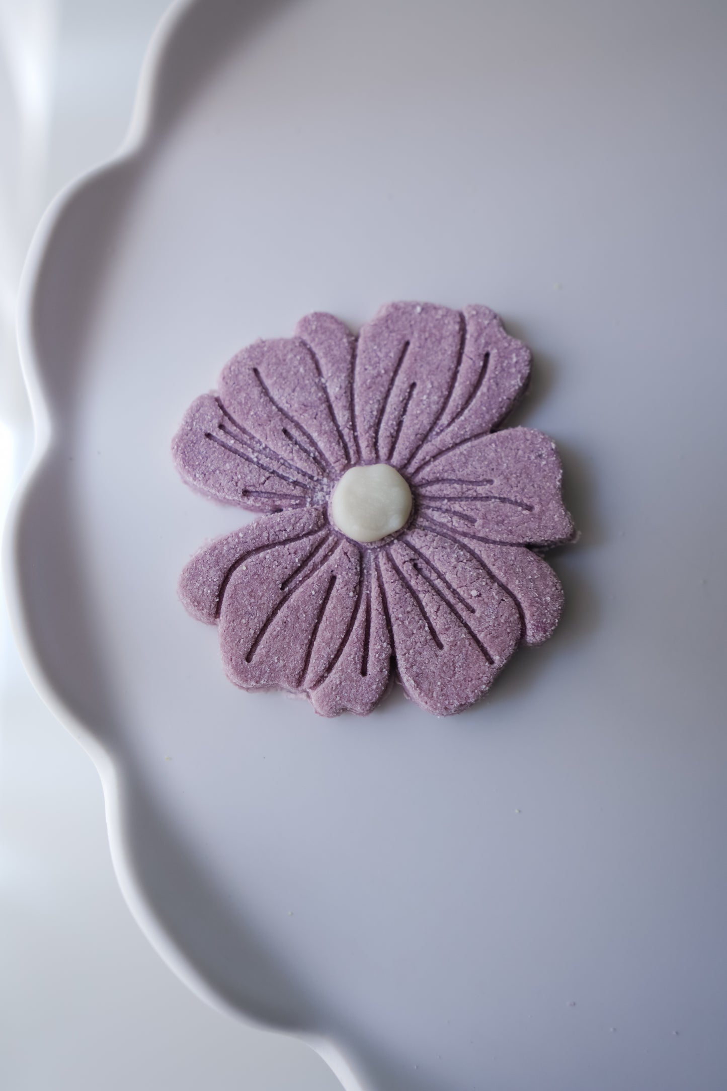 XL Daisy Flower