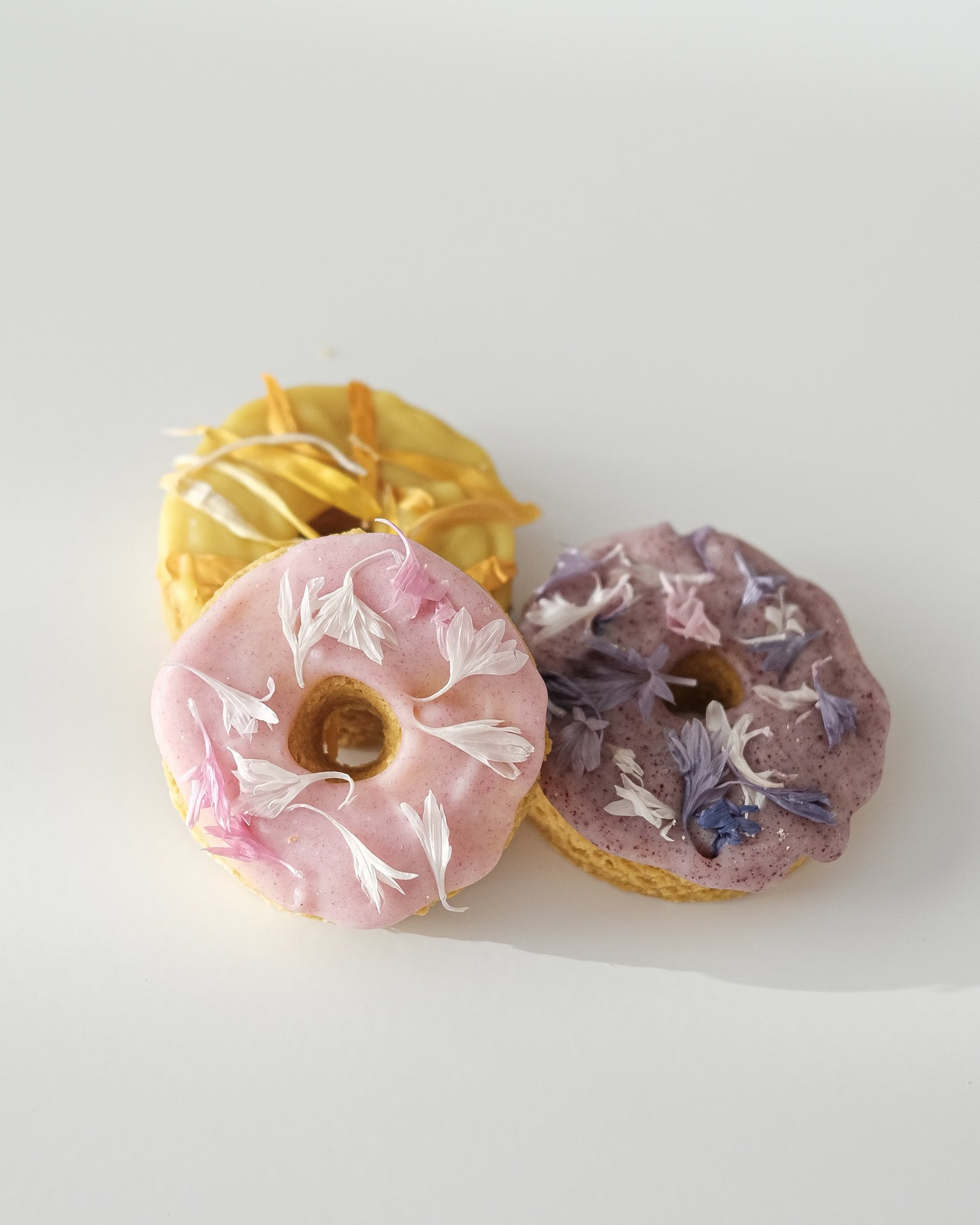 Doggo Donuts