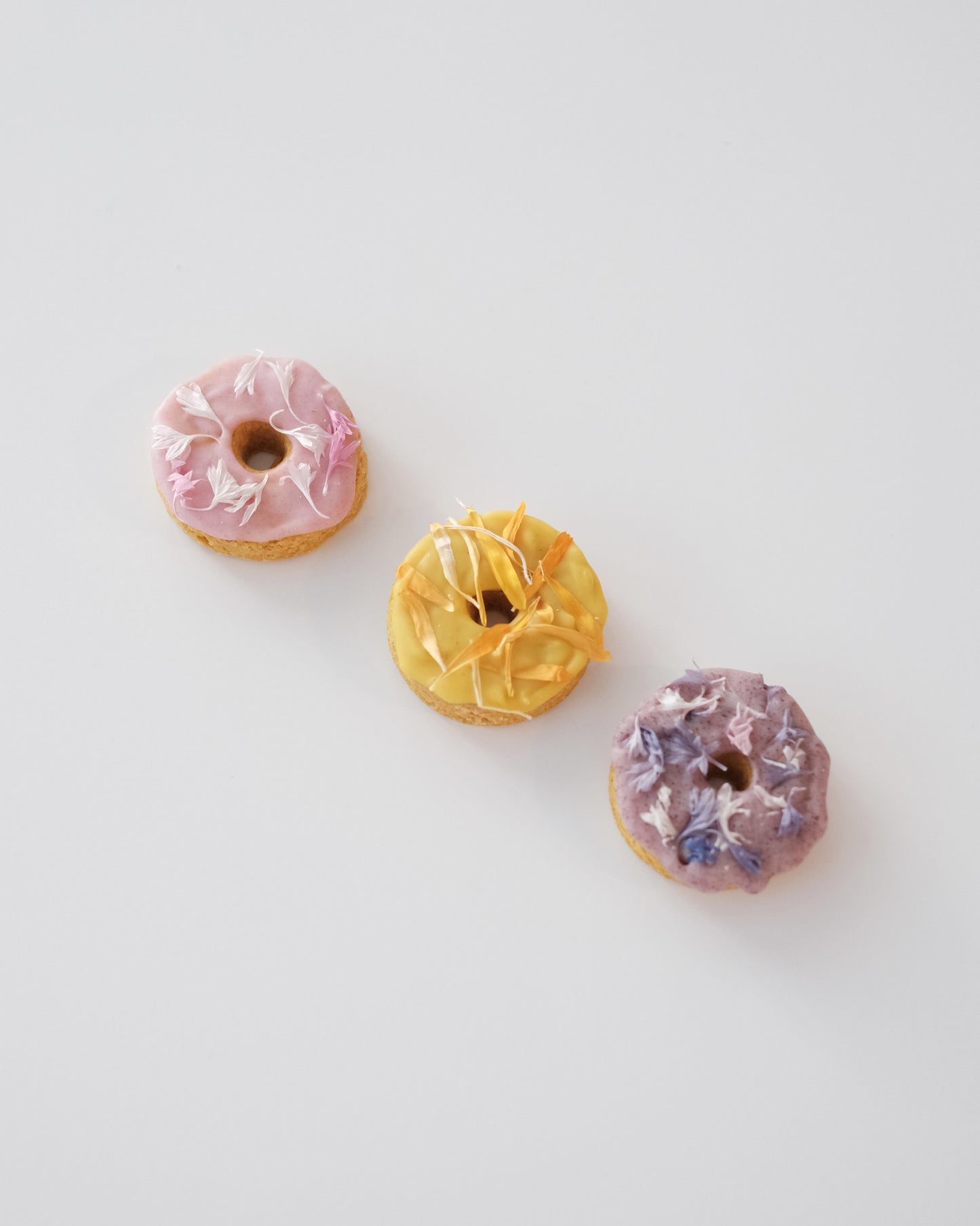 Doggo Donuts