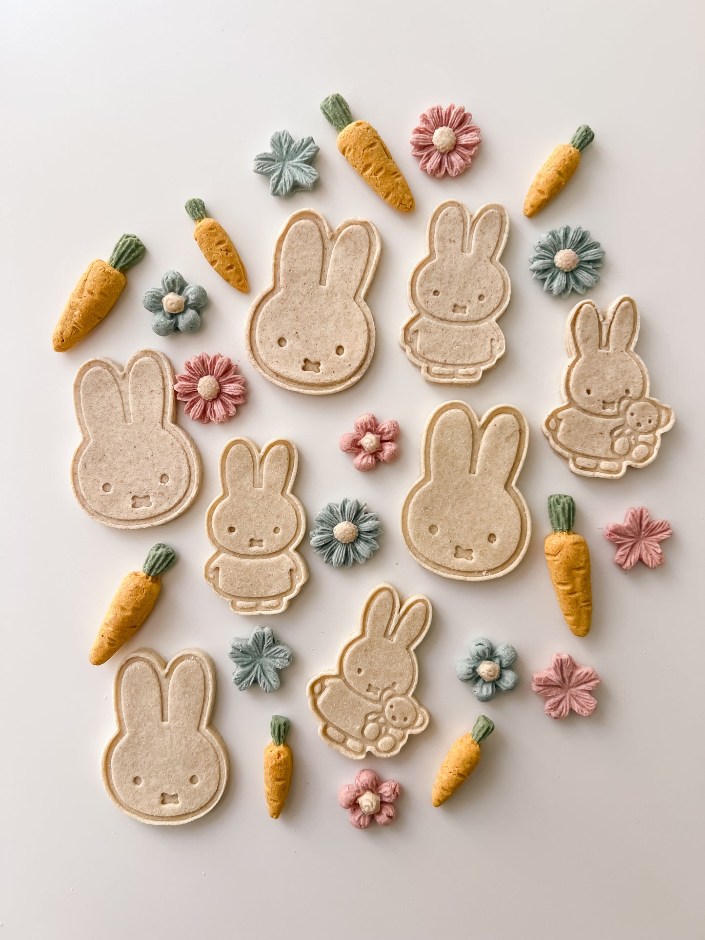 Miffy's Meadow