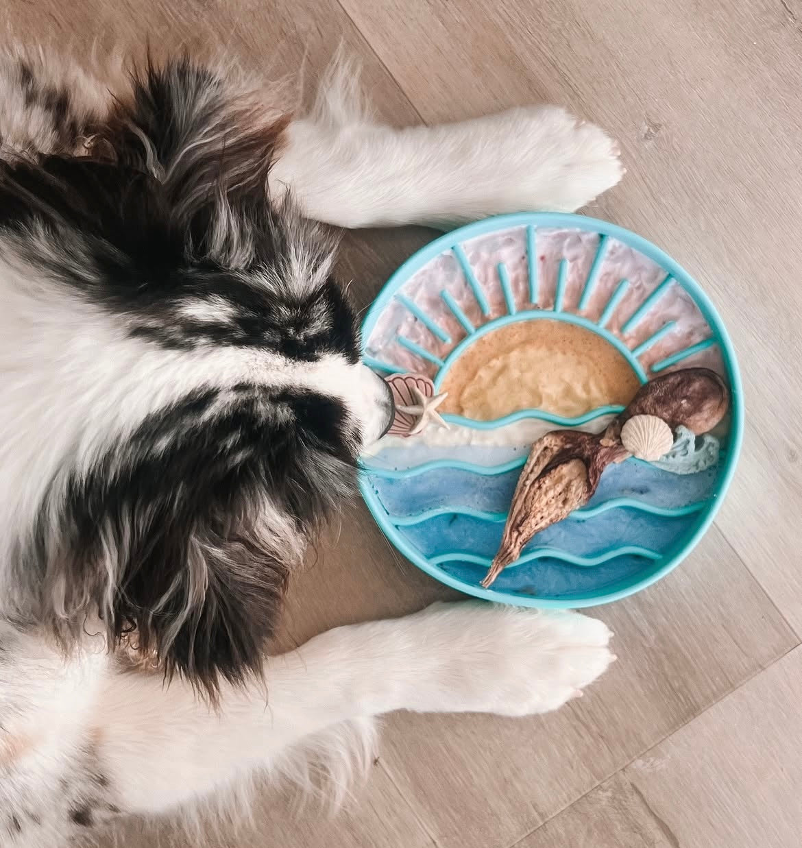 Seashell Bliss