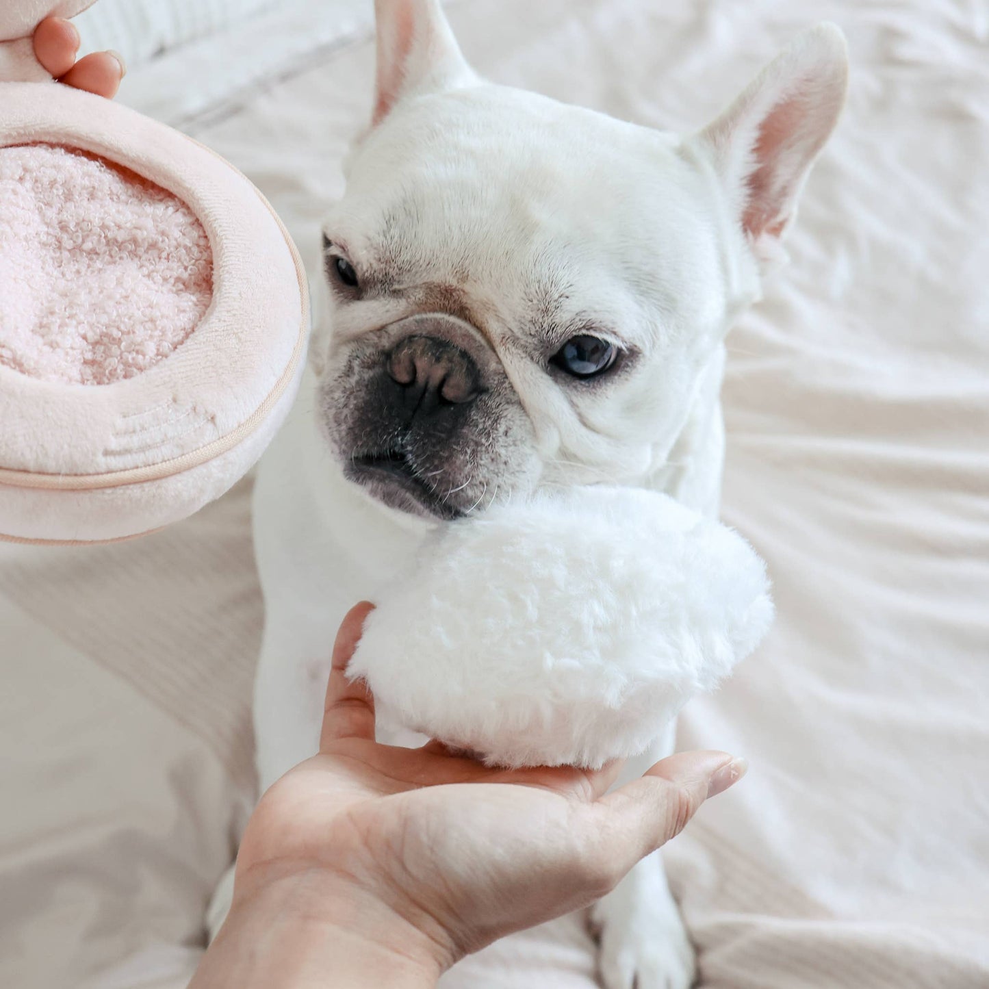 blush snuffle toy