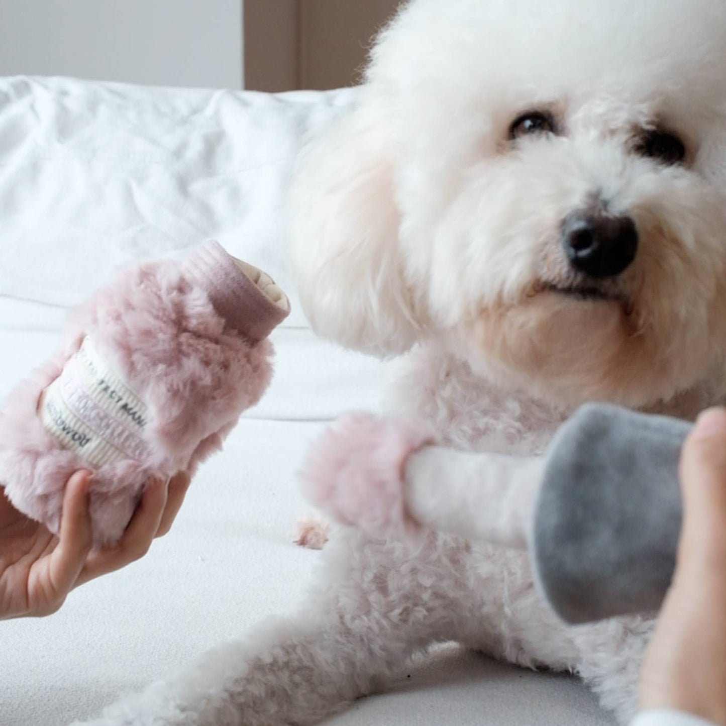 nail polish snuffle toy