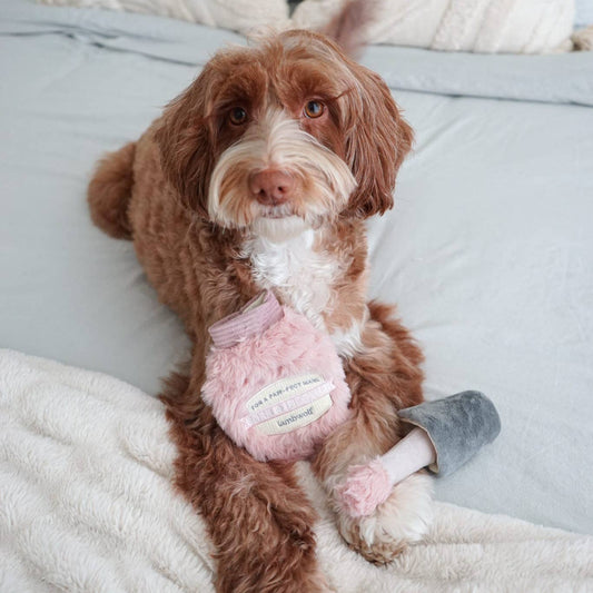 nail polish snuffle toy