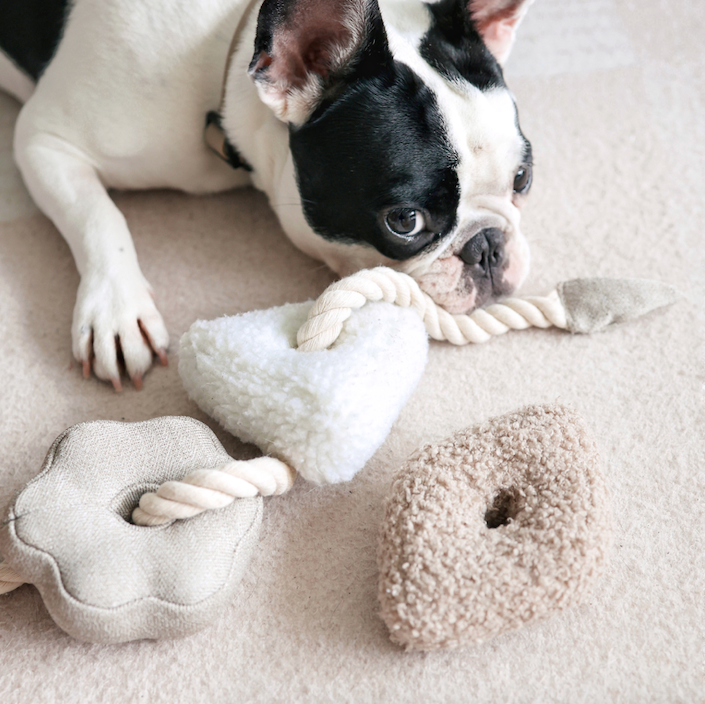 blocs tug + snuffle toy