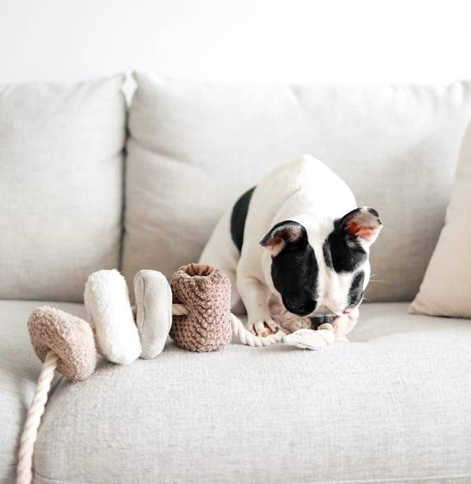 blocs tug + snuffle toy