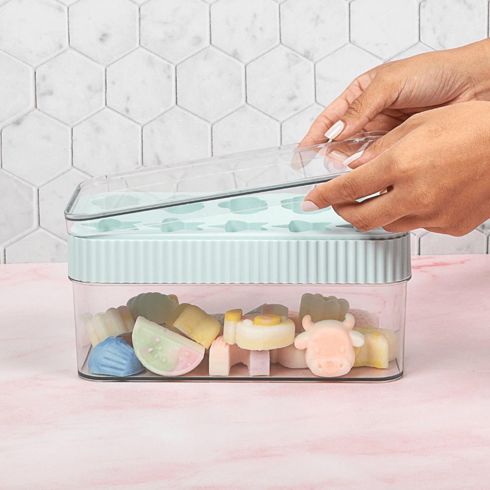 Frozen Treat Container