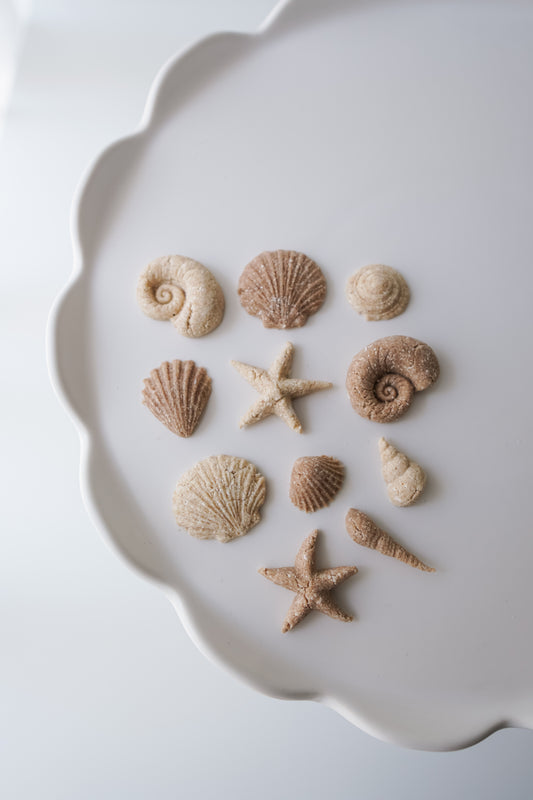 Seashell Bliss