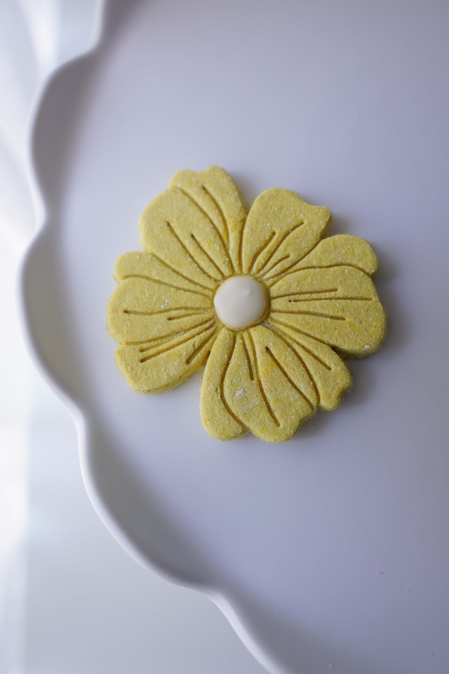 XL Daisy Flower