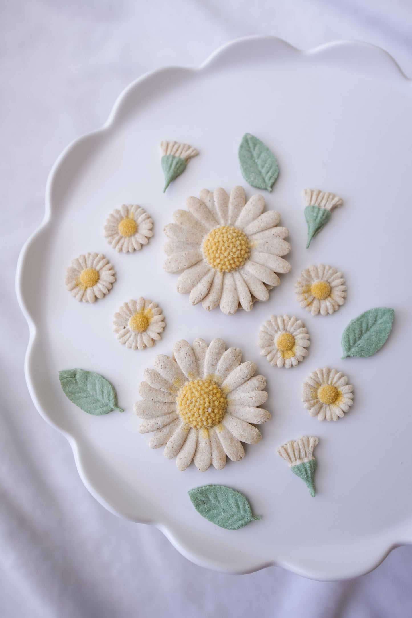 Dainty Daisies