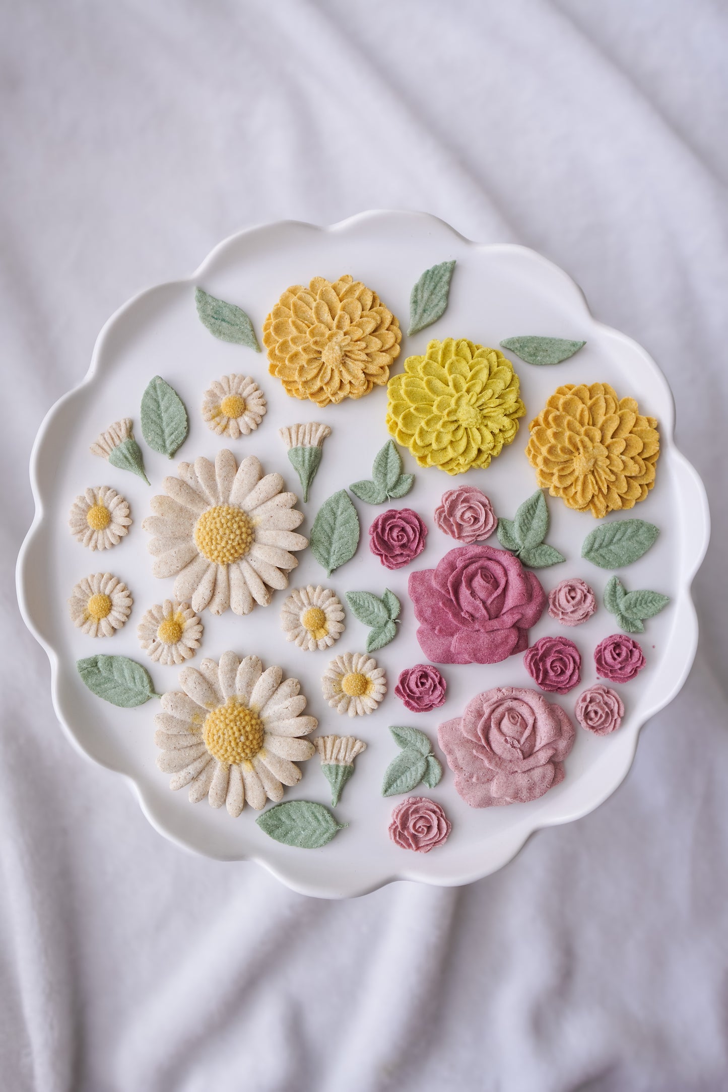Sweet Dahlia