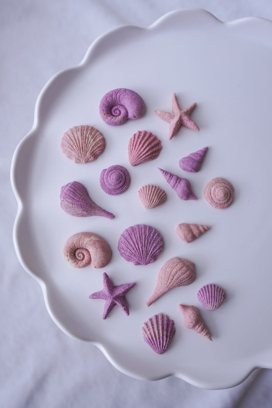 Whimsical Seashells