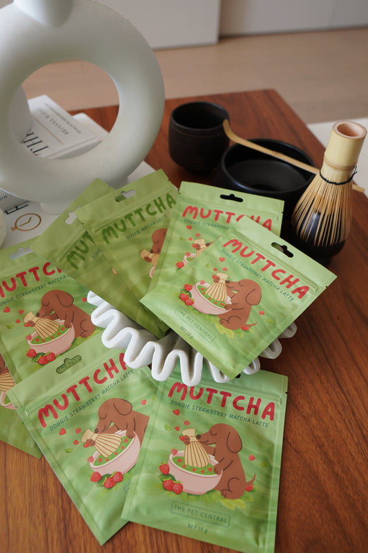 Muttcha™ - Doggie Matcha Latte