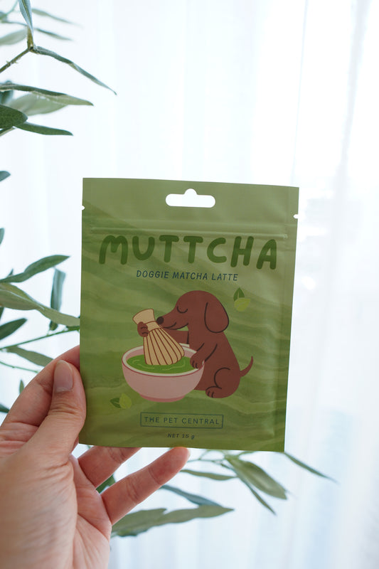 Muttcha™ - Doggie Matcha Latte