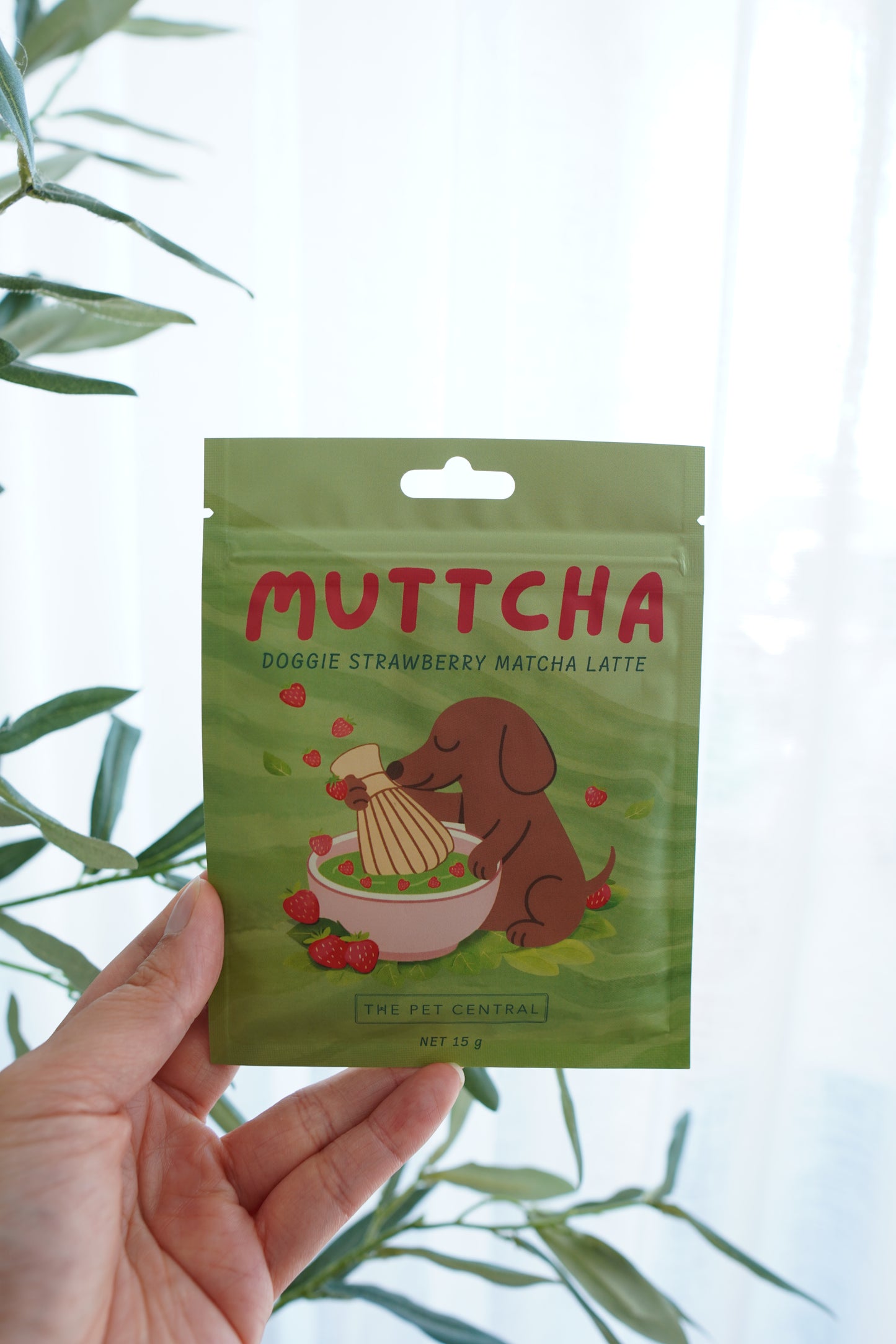 Muttcha® - Doggie Matcha Latte | the pet central