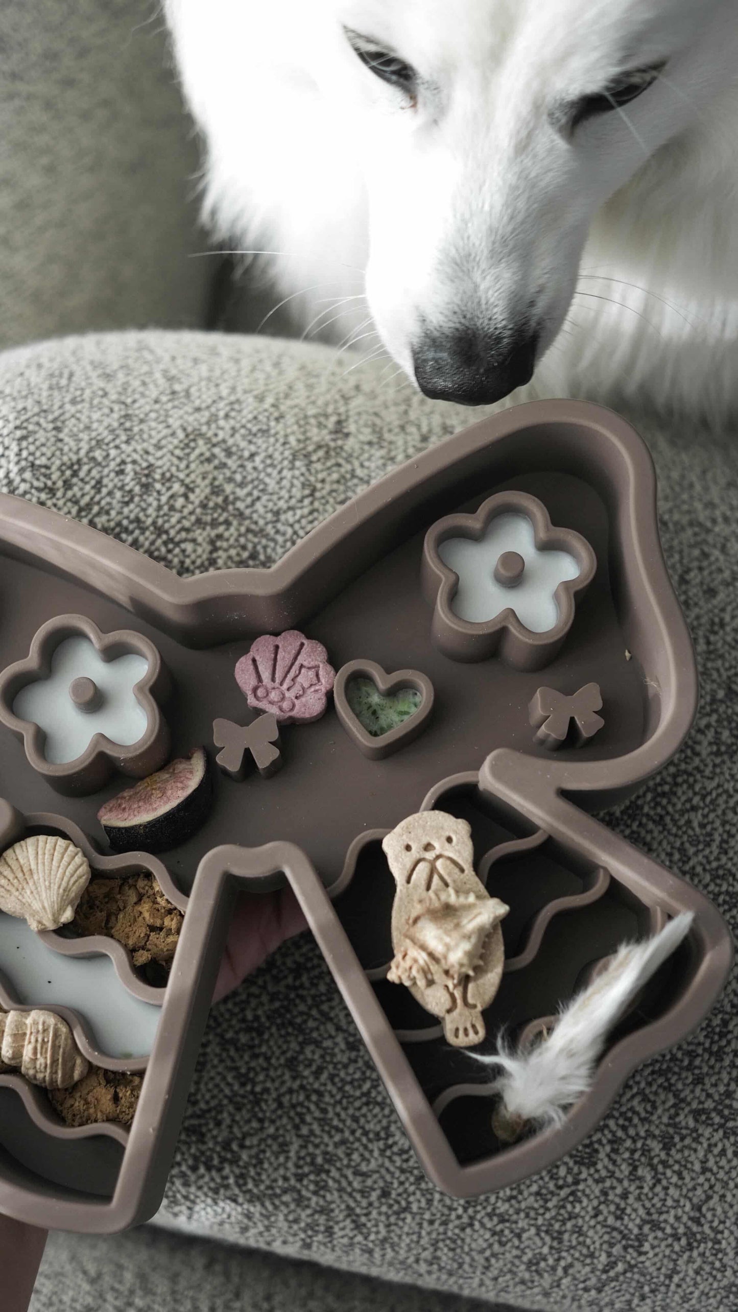 ocean gems