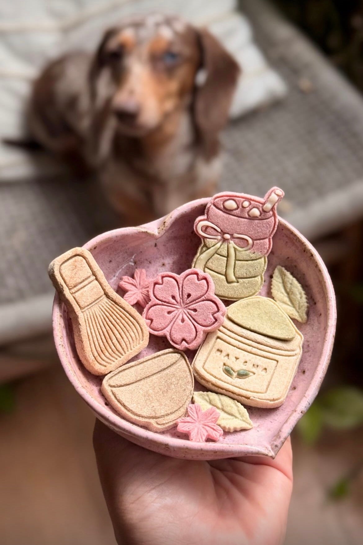 Matcha Lovers