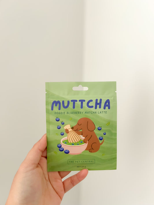 Muttcha® - Doggie Matcha Latte | the pet central
