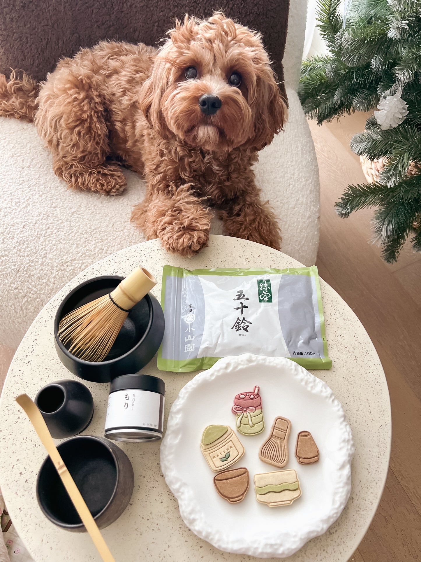 Matcha Lovers