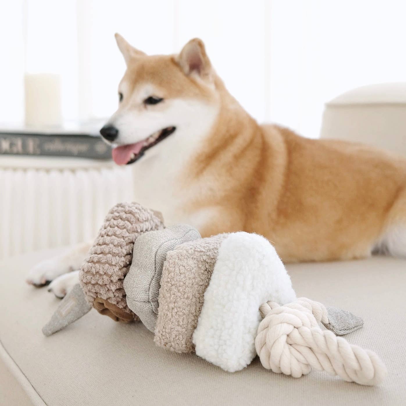 blocs tug + snuffle toy