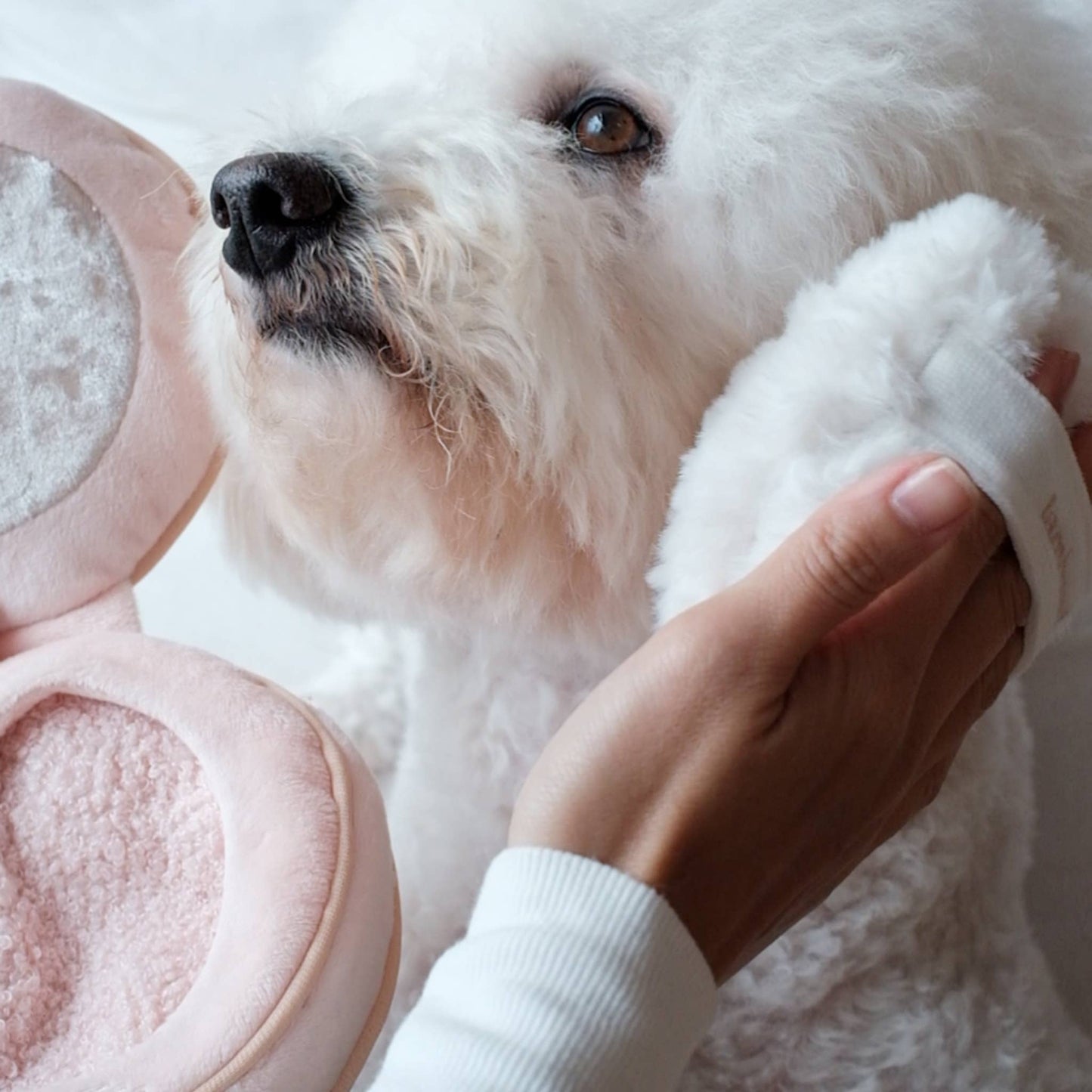 blush snuffle toy