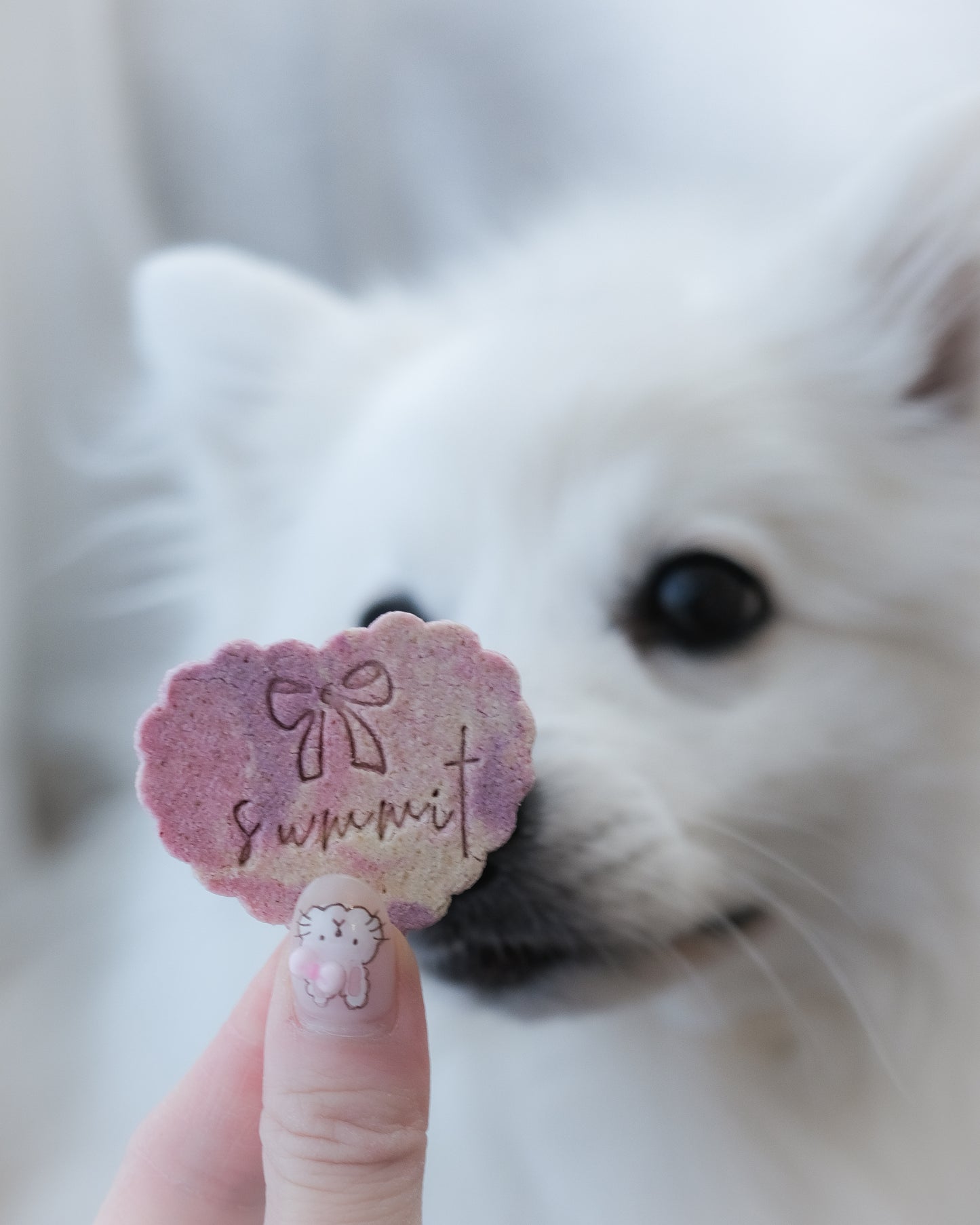 mini sweetheart name cookie
