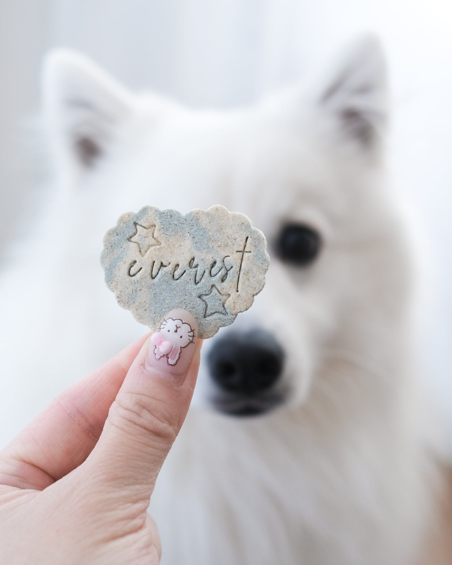 mini sweetheart name cookie